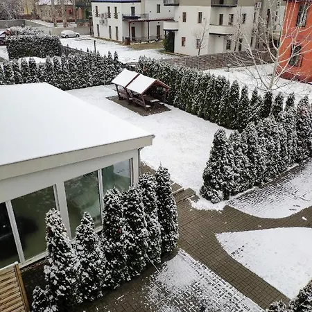 Ada Wellness 希欧福克